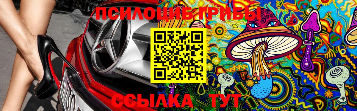 Псилоцибиновые грибы мухоморы Малгобек
